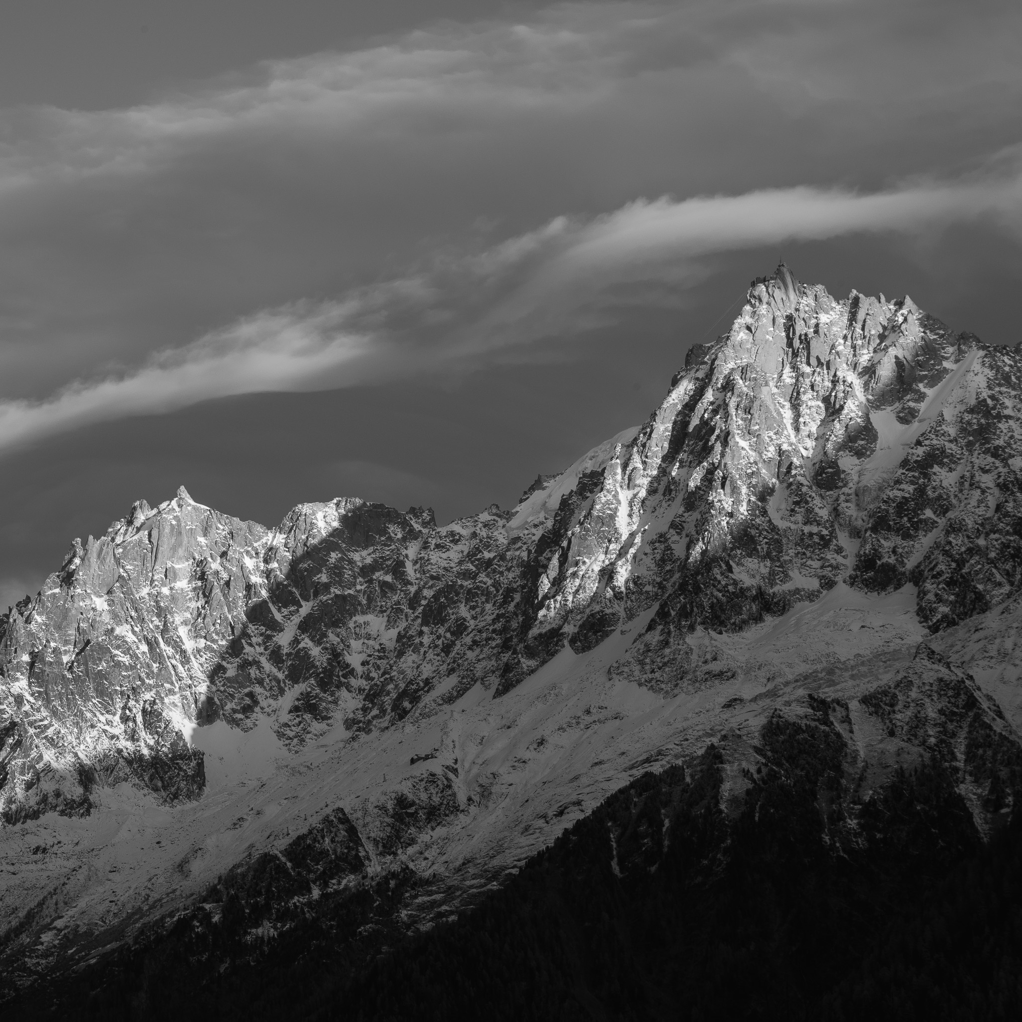 DSC_0710